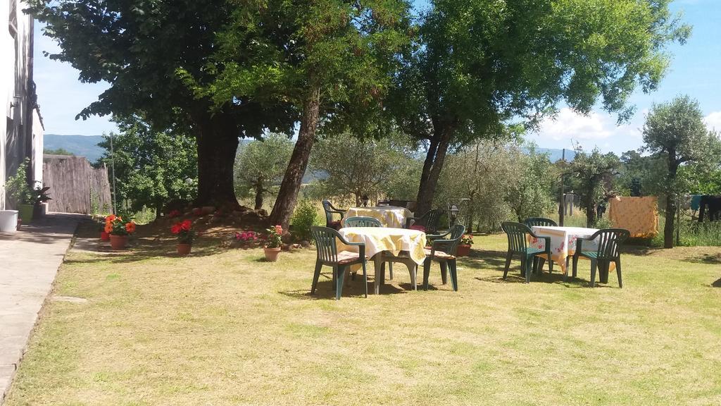 Azzurre Beb Bed & Breakfast Laterina Bagian luar foto
