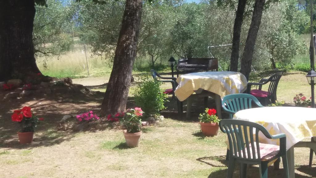 Azzurre Beb Bed & Breakfast Laterina Bagian luar foto