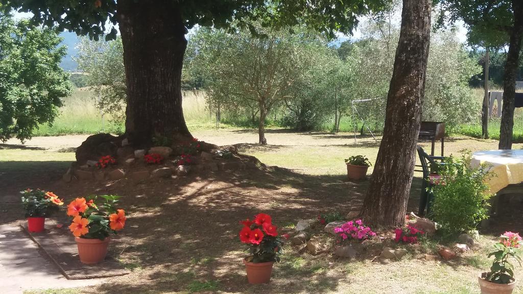 Azzurre Beb Bed & Breakfast Laterina Bagian luar foto