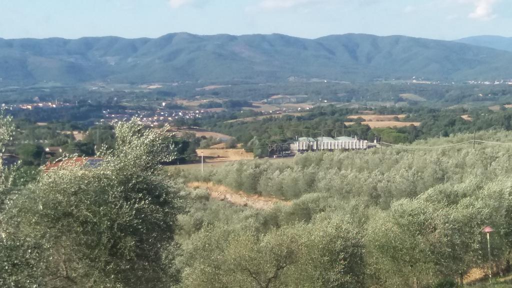 Azzurre Beb Bed & Breakfast Laterina Bagian luar foto